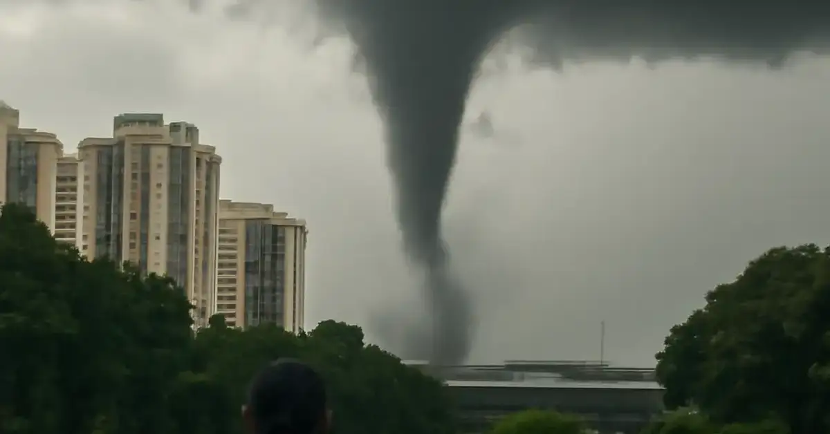 Wild Tornado Singapore